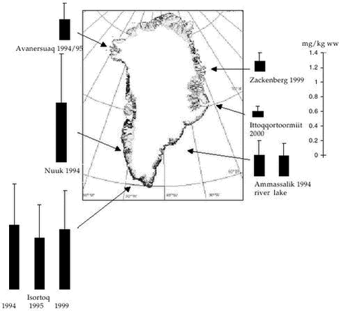 Figure 3.3.1. Hg concentraions (mg/kg ww) in landlocked (except Ittoqqortoormiit 2000) Arctic char in Greenland (adjusted to 40cm length) 