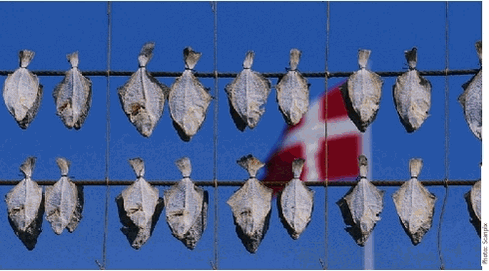 Dried fish