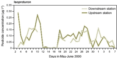 Figure 10.2 The daily mean concentration of the herbicide isoproturon and daily mean discharge at the upstream and downstream monitoring station in Lillebæk during a 36-day period in May and June 2000. Note that the concentration of pesticides were measured in a composite water sample from 16.00 p.m. to 15.00 p.m. on the following day. In this and the following figures the concentration is shown on the day with the longest time of sampling.