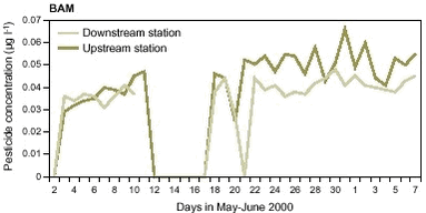 Figure 10.3 daily mean concentration of the metabolite BAM and daily mean discharge at the upstream and downstream monitoring stations in Lillebæk during a 36-day period in May and June 2000.