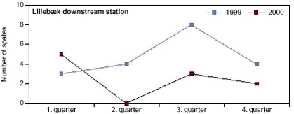 Figure 5.2. Frequency of spates higher than three times the quarterly median daily discharge during the two study years 1999 and 2000 at the downstream station (Fredskovvej) in the Lillebæk catchment. Quarterly median daily discharges are calculated for the period 1989-1998.