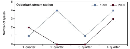 Figure 5.4 Frequency of spates higher than three times the quarterly median daily discharge during the two study years 1999 and 2000 at the stream station in the Odderbæk catchment. Quarterly median daily discharge is calculated for the period 1989-1998.