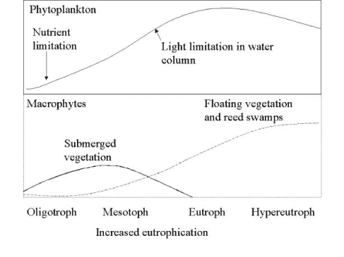 Figure 4.10 General changes in the balance between phytoplankton, submerged vegetation and floating vegetation and reed swamp along eutrophication gradient.