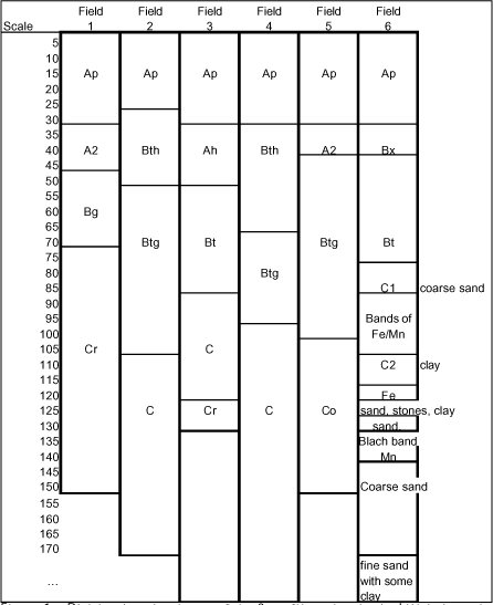 Figure 1 Division into horizons of the 6 profiles taken in the Lillebæk catchment