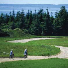 bikers in open landscape