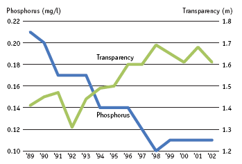 The phosphorus content in Danish lakes was almost halved in the 1990s. In recent years, this has made the water in lakes clearer and increased transparency. The environmental state of 70 per cent of Danish lakes remains, however, poor