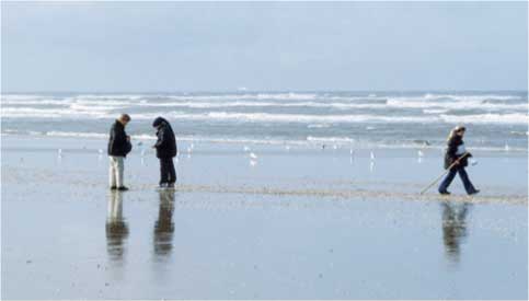 people on the beach