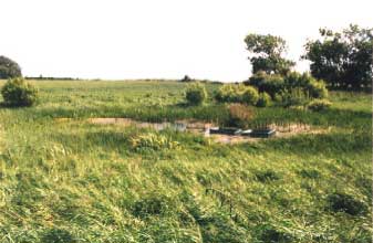 Figure 4.26 Pond P9 in 1995. Photo taken from the northwest