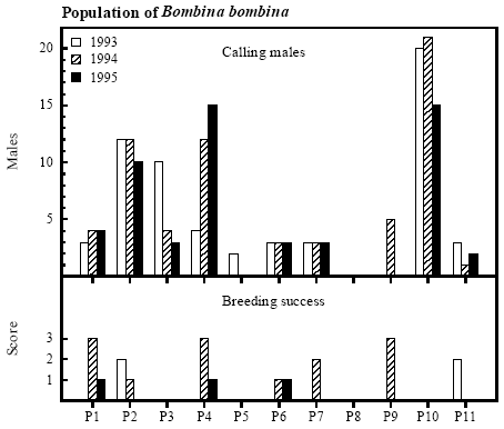 Figure 4.5 Number of calling Bombina bombina males and score for breeding success. Score 1: 1-10 metamorphosed frogs; score 2: 11-99 metamorphosed frogs; score 3: >100 metamorphosed frogs