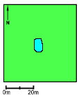 Pond P10