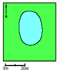 Pond P11