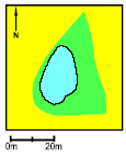 Pond P7, 1995