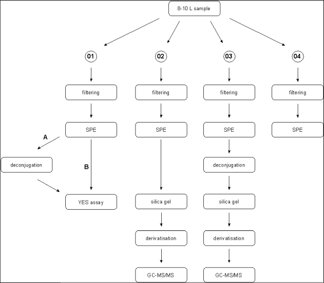 Figure 2.1: Overview of the sample treatment from sampling to chemical or biological analysis.