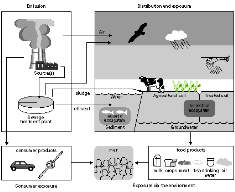 igure 7.2. Overview of the main routes of human exposure to toxic substances (Van Leeuwen and Hermens 1996)