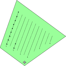 Fig. 3.4. Sketch of a plantation map showing the borders, numbered tree positions, route plan and docking station, i.e. the place from where the ACW operation is started and stopped after completion.