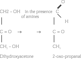 Molecular formula