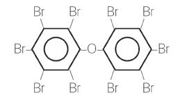 bromine atoms