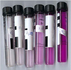 Figure 3 Colour scale - liquids for calibration: Concentrations in ppm from left: 0.05/0.1/0.2/0.5/1/2.