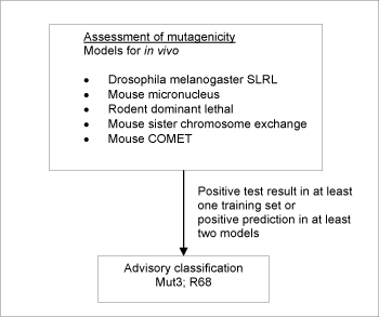 Figure 2: Schematic diagram illustrating the systematic evaluation applied to assign advisory classifications for mutagenicity.