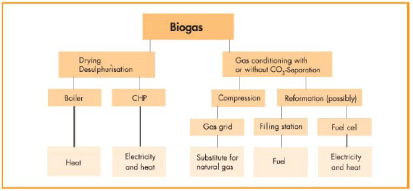 Figure 2­5 Biogas treatment procedure