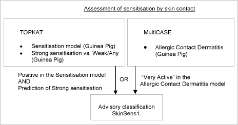 Figure 6: Schematic diagram illustrating the systematic evaluation applied to assign advisory classifications for sensitisation by skin contact