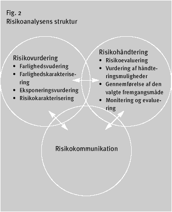 Illustration: Figur 2. Risikoanalysens struktur (8 Kb)