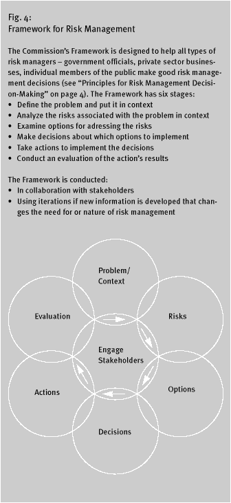 Illustration: Figur 4. Framework for Risk Management (16 Kb)