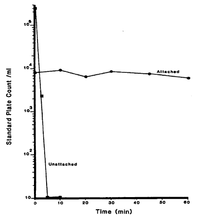 Figur 3.8 Overlevelse af naturligt forekommende bakterier i et GAC filter udsat for 2,0 mg frit klor/L i en time (koncentrationen af frit klor efter en time var 1,7 mg/L) (LeChevallier et al., 1984). (5 Kb)