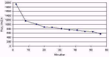 wpe6D.jpg (119398 bytes)