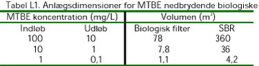 Klik på billedet for at se html-versionen af: ‘‘Tabel L1‘‘