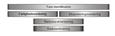 Figur 6.1 Model for risikovurdering. Efter Babisch (2002)