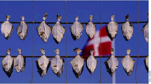 Billede af fladfisk hængt til tørre