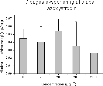 Nedbrydningen af detritus efter syv dages eksponering af elleblade i azoxystrobin er afbilledet som bladpladernes vægttab per mg dyr mod eksponeringskoncentration. Søjlediagrammerne angiver gennemsnittet af de 15 replikater med standard error. * indikerer at bladvægttabet er signifikant forskelligt fra kontrollerne (F-test, p<0,05)