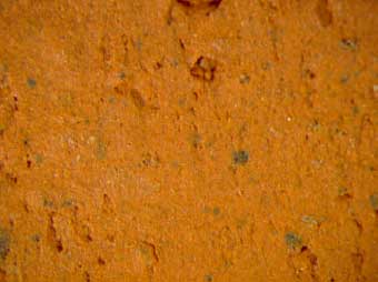 Figur G.19. Prøve C Hammershøj – reference 1000ºC Synsflade – Forstørrelse 24x