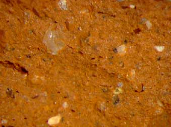 Figur G.20. Prøve C Hammershøj – reference 1000ºC Brudflade – Forstørrelse 24x