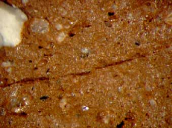 Figur G.24. Prøve C Hammershøj – reference 1050ºC Brudflade – Forstørrelse 24x
