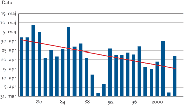 Datoer for start af birkepollensæsonen de seneste 27 år. Den røde linie er en lineær regression gennem datoerne for perioden 1977-2002 og illustrerer at sæsonstarten generelt sker tidligere og tidligere.