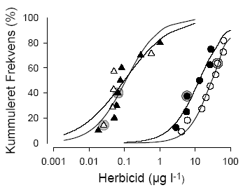 Figur 11. Arts-følsomheds-fordelinger for terbuthylazin (cirkler) og metsulfuron-methyl (triangler) baseret på EC<sub>10</sub> værdierne for de to forsøg: lav lysintensitet, lukkede symboler, fed kurve og høj lysintensitet, åbne symboler, tynd kurve. Data for standard-test organismen <em>Lemna minor </em>er markerede med en grå cirkel. Data er beskrevet med en logistisk model.