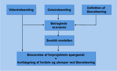 Figur 6.1 Samspil mellem aktiviteterne i undersøgelsen