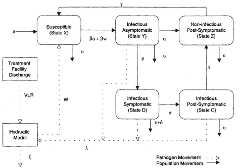 Figur 8 Oversigt over tilstande og processer i tilstandsmodellen i Soller et al (2003). Personer kan være i fem tilstande, smitte-modtagelige, inficerede asymptomatisk, syge, inficerede asymptomatisk post-syge og resistente. For patogenerne benyttes en forsimplet model, hvor mængden af inficerede personer ikke påvirker udledningen fra renseanlægget, men kun via fækale uheld i recipienten. Efter Soller et al. (2003)