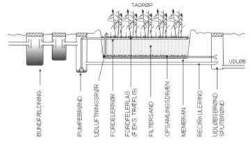 Figur 6.1 Skematisk opbygning af et beplantet filteranlæg (længdesnit)