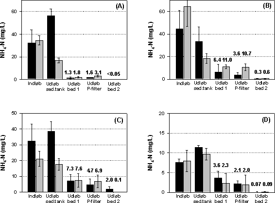 Figur 5.8 Gennemsnitlig (± 1 standardafvigelse) koncentration af NH4-N i de fem målepunkter i forsøgsanlægget. (A) Målekampagne 1 og 2; (B) kampagne 3 og 4; (C) kampagne 5 og 6; og (C) kampagne 7 og 8. Fyldte søjler er kampagner uden recirkulering af afløbsvand til bundfældningstanken; grå søjler er kampagner med recirkulering.