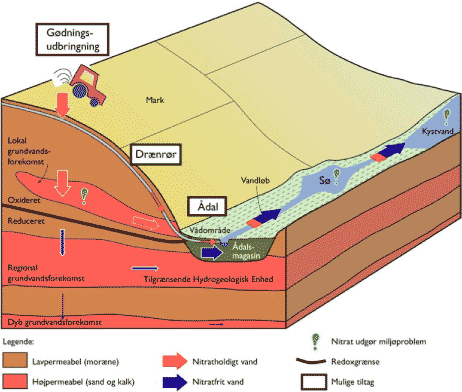 Figur 1.1 Nitrats skæbne i det hydrologiske kredsløb. Problemområder forårsaget af nitrat er vist med et grønt udråbstegn. Indsatsmuligheder er vist i bokse.