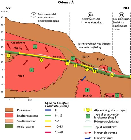 Figur 9.11. Skitse af geologisk opbygning langs den nedre del af Odense Å (ådalsmorfologisk delstrækning F, G og H). Vandløbet illustreres af den flerfarvede linie midt i profilet. Farverne angiver den specifikke baseflow afstrømning i vandløbet. Toppen af ådalsskrænten og det primære trykniveau i de dybe grundvandsmagasiner er også illustreret, ligesom afgrænsning af Ådalstyper og klassifikation af typer af grundvandsforekomster ifølge tabel 1.1. Endelig skelnes der mellem, om det tilstrømmende grundvand er nitratholdigt eller nitratfrit.