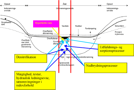 Figur 12.1 Vidensbehov i den ånære zone.