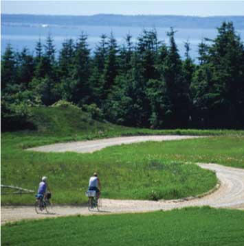 To cyklister i naturen