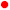 rød prik