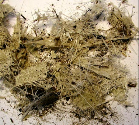 Figur 11 Foto af håndsorterede dele af neddelt materiale fra H.J. Hansen Genvindingsindustri: Fortrinsvis fiberdele, der er mere eller mindre dækket af plastmateriale