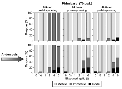 Figur 22: Gentagne pulseksponeringer med pirimicarb (70 μg/l) med 48 timers mellemrum