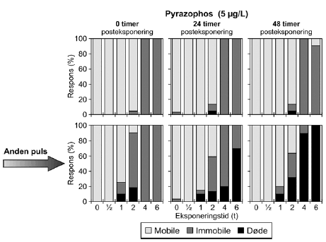 Figur 24: Gentagne pulseksponering med pyrazophos (5 μg/l) med 48 timers mellemrum.